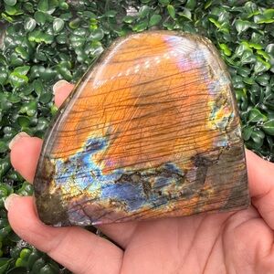 Full Flash, Black Rainbow Labradorite Free Form